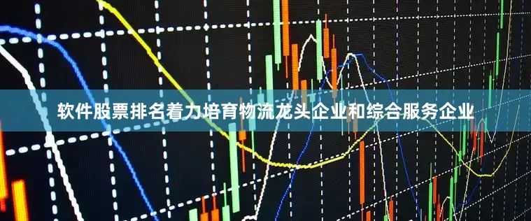 软件股票排名着力培育物流龙头企业和综合服务企业